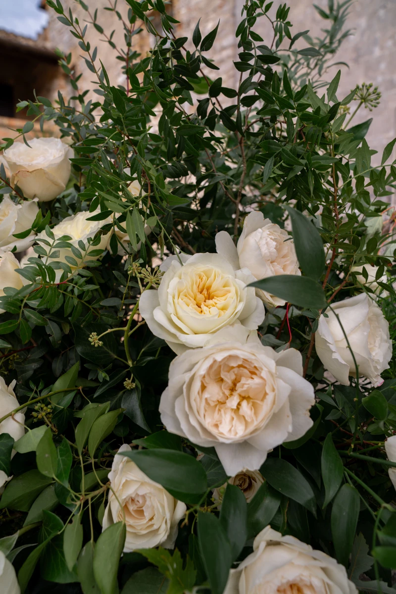 Il Matrimonio di Beatrice e Matteo alla Badia di San Pietro al Conero - Foto 8