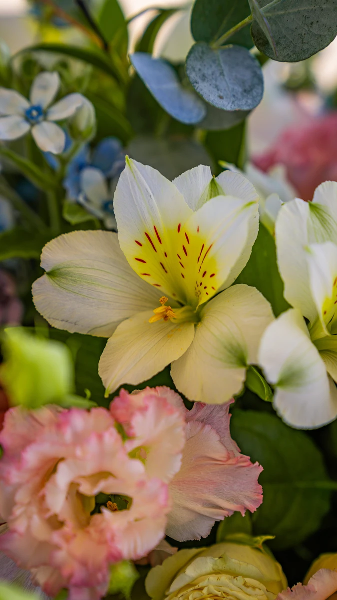 Allestimento floreale matrimonio Centrotavola Palette rosa pesca e azzurro per matrimonio alle Cantine Moroder